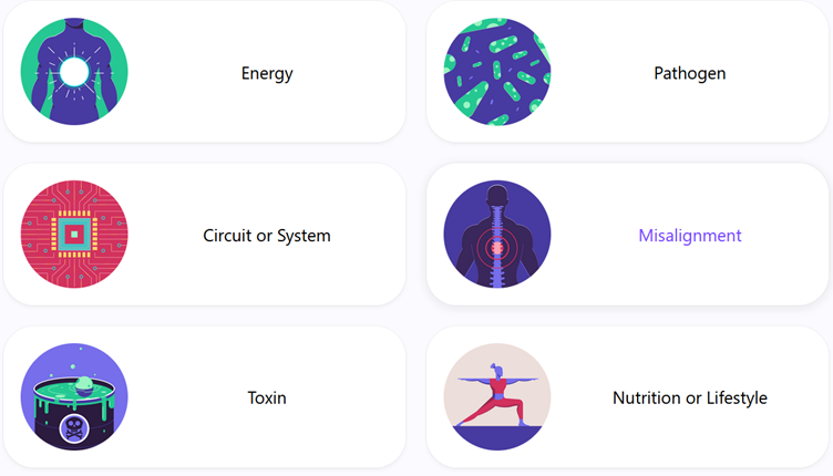 Body Code System New Zealand