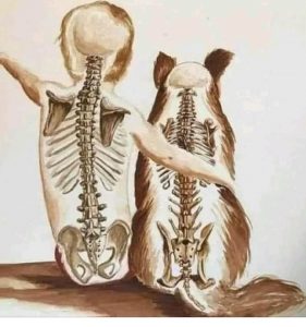 dog and humans connected by feelings
